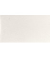 PAVIGRES PAVIM. ANTICA WHITE CV441 247X447 (1.44 m²/box) 1st