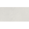 ALELUIA PAVIM. CONCRETE BLEND 29.5X59.2X1 REF.PT66RC (1.05 M2/BOX)