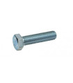 SXT M10x50 Screw