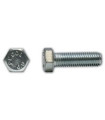 SXT M10x70 Screw
