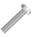 SXT M8x60 SCREW