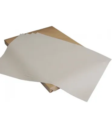 COAST RESAM PAPIER 45X65.500 BLATT | Beatriz Salero