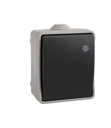INTERRUPTOR ESTANQUE ECONOMICO IP44 RETRACTIL REF.64030