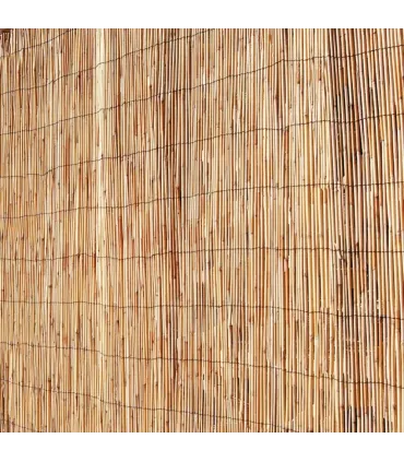 CANIZO BAMBU PELADO 2,00X5 REEDCANE