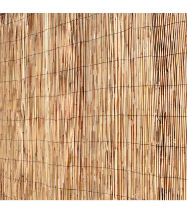 CANIZO BAMBU PELADO 2,00X5 REEDCANE | Beatriz Salero Algarve