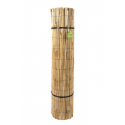 CANIZO ENTERO CANA NATURAL 1,50X5 M - 2