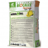 KERAKOLL BIOCALCE REVOCO TIPO 00 20 KG REF.: 70227