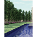 CINCA REVEST. SPLASH AZUL 30X60 REF.9444 (1,26M2/CX)