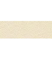 PAVIM.EMIGRES GOBI BEIGE 25 x 75 (1,5 m²/Karton)