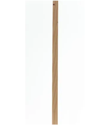 BARROTE P.N.APLAIN 12X56 240CM