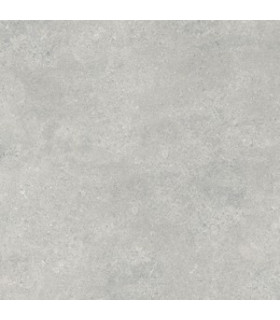 PAVIGRES PAVIM MILESTONE SILVER M89114RT 890X890.0.79M2 CX 1